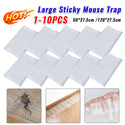 Strong Adhesive Sticky Trap