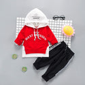 Hooded+Pant 2pcs Outfit Suit Boys Clothing Sets