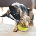 Food Ball Food Dispenser