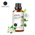 100ML Essential Oils - Webster.direct