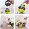 Food Ball Food Dispenser