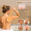 Natural Bristle Body Brush