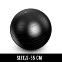 Men Anti Burst Exercise Balls 55cm-75cm Gym Fit Ball Professional Pilates Yoga Fitness Balance Stability Ball Supports 2200lbs